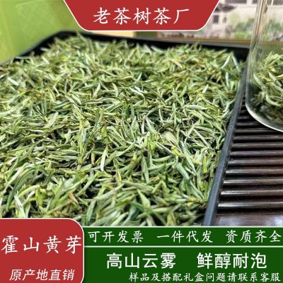 2025年新茶霍山黄芽核心春茶产区 浓香型黄茶茶叶500克散装批发图2