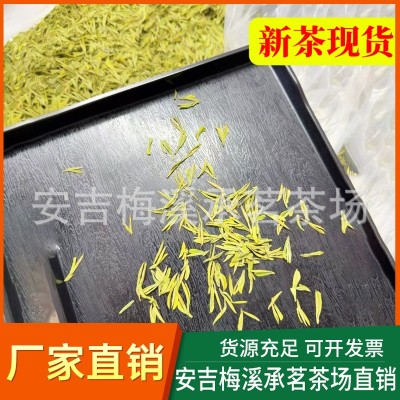 特级新茶正宗安吉黄金芽茶叶绿茶奶白安吉白茶厂家直销散装供货图3