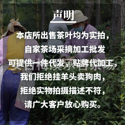 厂家直销散装供货2025新茶正宗安吉黄金芽茶叶绿茶奶白安吉白茶图3