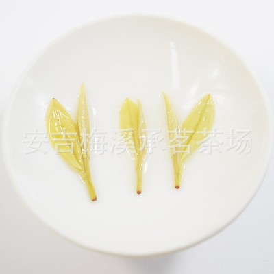厂家直销散装供货2025新茶正宗安吉黄金芽茶叶绿茶奶白安吉白茶图4