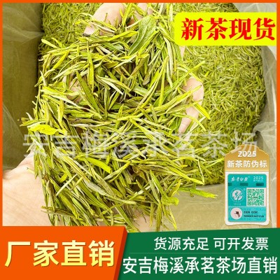 现货 黄金芽茶叶2025新茶黄金叶正宗安吉白茶家批发散装250g