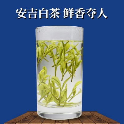 现货正宗明前特级安吉白茶批发2025新茶安吉白茶黄金叶厂家直销散图2