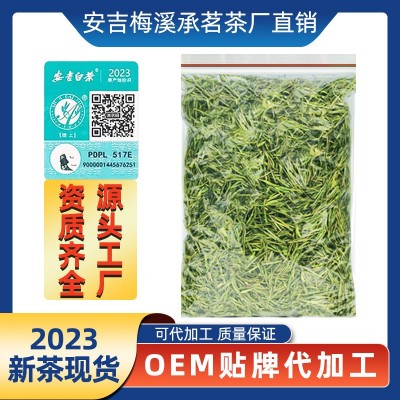 现货正宗明前特级安吉白茶批发2025新茶安吉白茶黄金叶厂家直销散