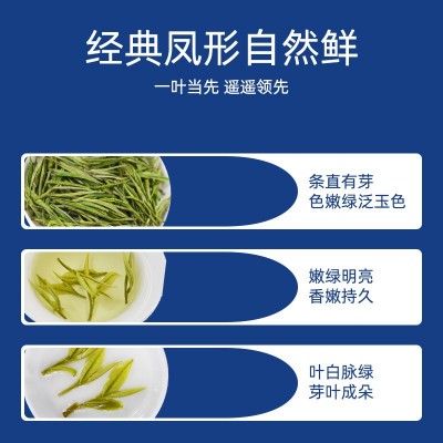现货正宗明前特级安吉白茶批发2025新茶安吉白茶黄金叶厂家直销散图4