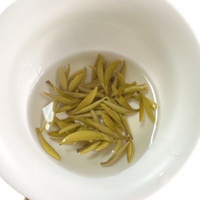 【小米针】新茶 广西横县茉莉花茶 针王 小米针 厂家散茶批发图5