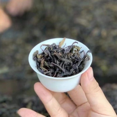 潮州乌龙茶叶鸭屎香凤凰单丛茶乌岽单枞礼盒茶叶茶厂批发散茶批发图4