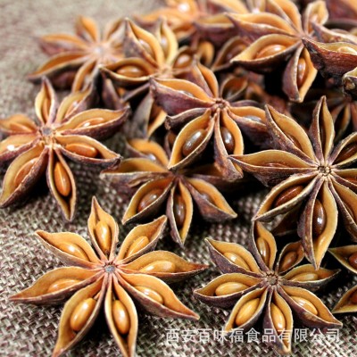 包装新货广西产地足干大红八角大料大茴香香辛料商用调味料批发图2