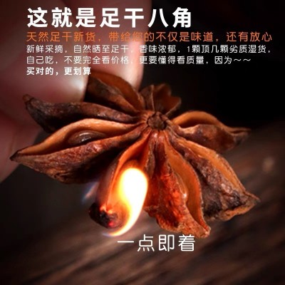 正宗广西大红八角大茴香香辛料调料火锅底料卤料卤菜批发产地货源图4