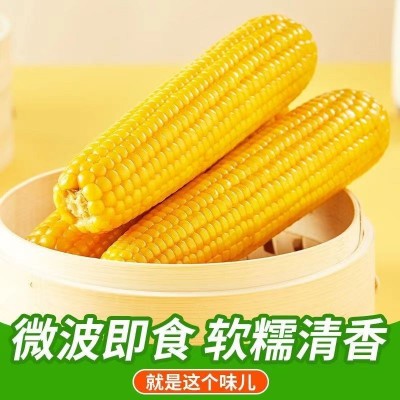 爆汁水果玉米220g即食玉米棒粗粮宿舍早餐宵夜真空甜玉米零食图4
