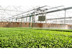 加快农业科技创新和成果应用 实现高水平农业科技自立自强