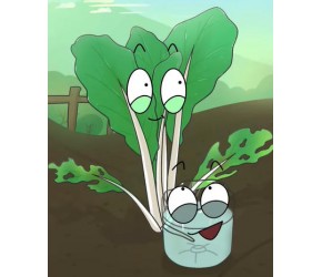 白菜防虫小技巧