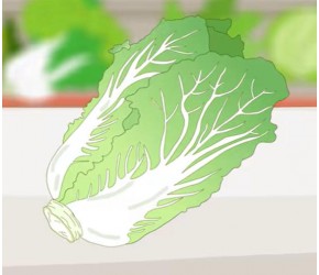 白菜如何保鲜，你知道了么？