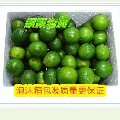越南东亚品种塔斯提无籽柠檬新鲜无籽青柠图3