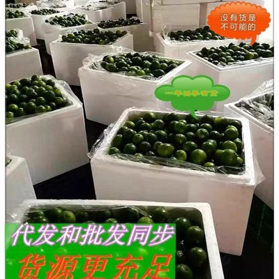 越南东亚品种塔斯提无籽柠檬新鲜无籽青柠图4