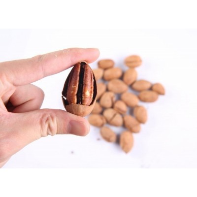 漯 河市无忧售后 碧根果 碧根 果批发 云巅控股 规格多样 口感好