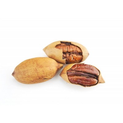 漯 河市无忧售后 碧根果 碧根 果批发 云巅控股 规格多样 口感好图5