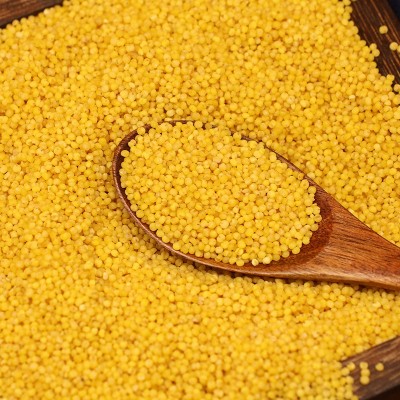 山西特产外婆谷沁州黄小米优级米2.5kg新米五谷杂粮食用煮粥批发