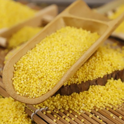 内蒙古赤峰杜家黄小米2.4kg礼盒装300g*8袋真空包装小米礼盒批发图3