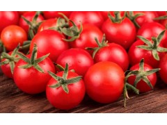 圣女果苗种植全攻略：从选种到丰收的黄金法则