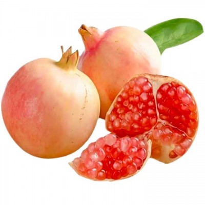 云南蒙自石榴旗舰店当季水果新鲜薄皮硬籽多汁酸甜石榴现摘现发包图5