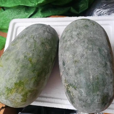 云南小冬瓜新鲜迷你小冬瓜成熟冬瓜批发农家自种新鲜蔬菜现摘现发图3