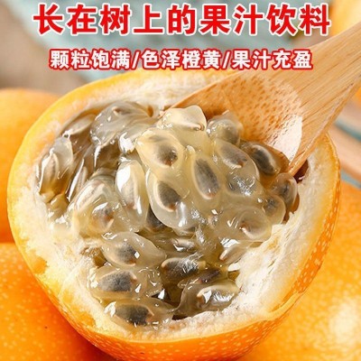 云南热情果新鲜现摘西双版纳爱情果5斤纯甜当季水果哥伦比亚包邮图3