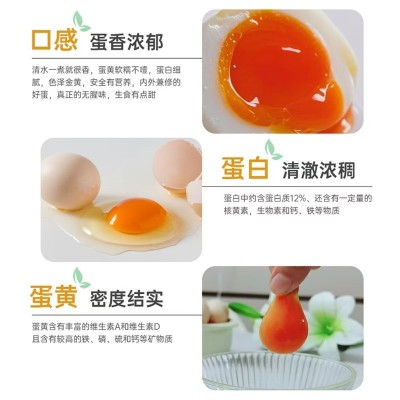 【顺丰包邮】20枚装低胆固醇可生食富硒无抗高营养健康新鲜鸡图2