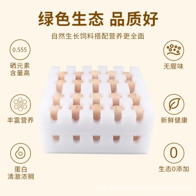 120枚可生食无菌富硒鸡蛋无抗无菌鸡蛋溏心蛋营养健康新鲜蛋日式图2