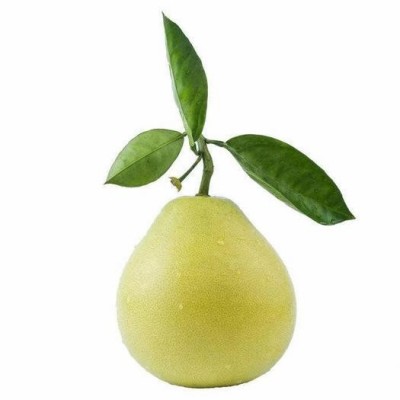 【正宗冰糖柚】安江雪峰冰糖柚湖南新鲜怀化老树柚子安福金兰柚图5