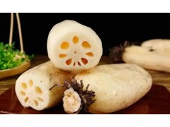 掌握正确施肥方法，莲藕轻松高产！