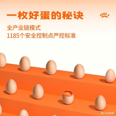 圣迪乐村减胆固醇营养蛋30枚鸡蛋礼盒顺丰包邮图4