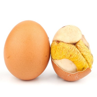 新鲜13天活珠子五香麻辣鸡胚蛋钢化蛋即食真空包装活珠子批发代发图5