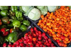 AI+农产品：智慧农业的新图景