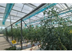 精准施策让农业更“智慧”