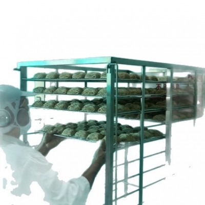 来来 手工虾子面1200g广东特色非油炸港式虾籽细面拌面捞面汤面图5