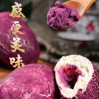 紫薯包子速食早餐半成品紫米零食儿童面包面点冻冷加热大馒头厂家图2