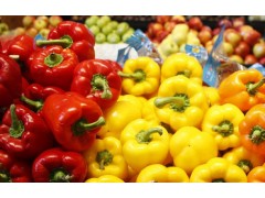 大棚青椒种植技术：大棚青椒种植时间和方法