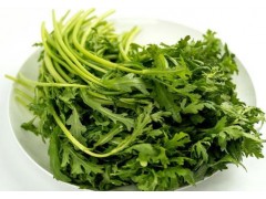 茼蒿什么时候种植？什么时间适合种植茼蒿？