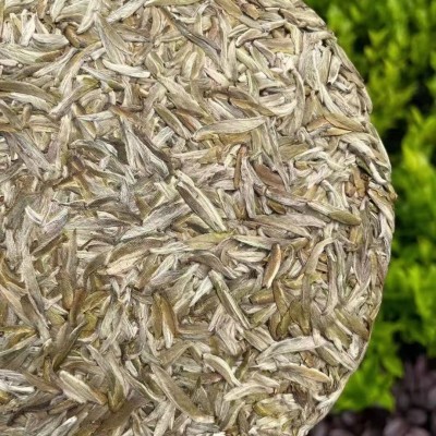 2021福鼎的白茶 米粒芽白毫银针300g白茶饼 春茶白毫银针饼 厂家图4