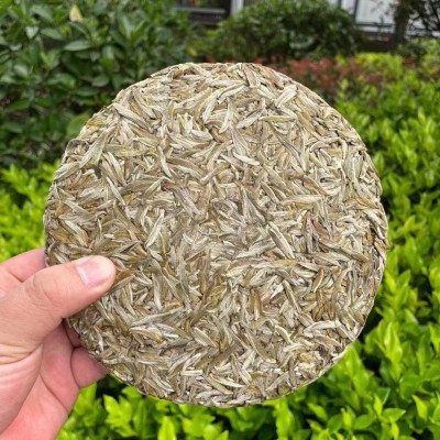 2021福鼎的白茶 米粒芽白毫银针300g白茶饼 春茶白毫银针饼 厂家图3