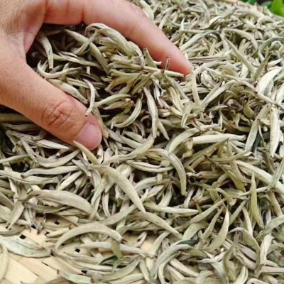 2025年新茶花香白毫银针 花香白茶美人白毫香500g散装茶叶批发图3