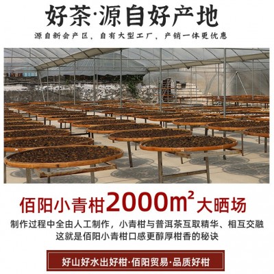 新会小青柑厂家批发 云南宫廷普洱熟茶 日晒耐泡茶底优惠一件起批图3