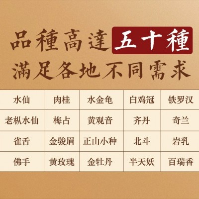 厂家高香大红袍武夷山碳焙乌龙茶浓香型散装批发福建岩茶茶叶礼盒图3