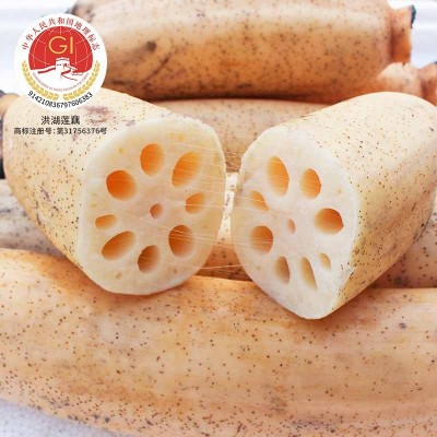 【华贵】洪湖新鲜粉藕 莲藕洪湖粉藕现挖现发图4