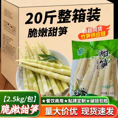 2.5kg甜笋清水笋火锅餐饮酒店半成品食材进货嫩笋尖笋丝笋干脆嫩