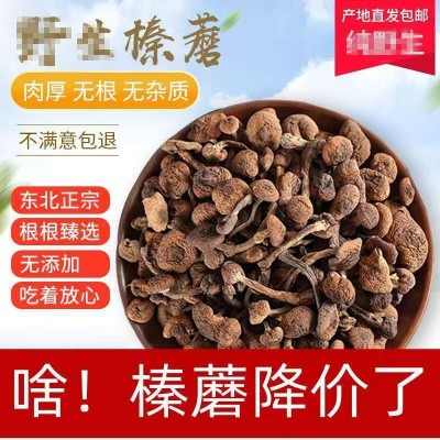 榛蘑东北特产批发干货榛蘑小鸡炖蘑菇食材送礼农产品榛蘑丁土特产