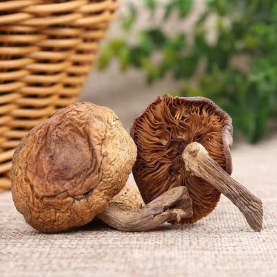 榛蘑东北特产批发干货榛蘑小鸡炖蘑菇食材送礼农产品榛蘑丁土特产图3