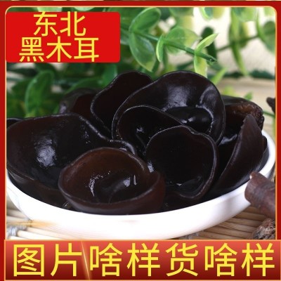 东北木耳批发长白山黑木耳椴树小碗耳干货地摊货源秋耳农产品特产图2