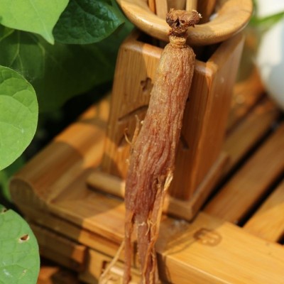 全须红参整支东北土特产长白山人参高丽参可切片无糖红参棒批发图3