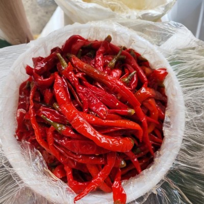 重庆泡二荆条大白桶装泡菜批发